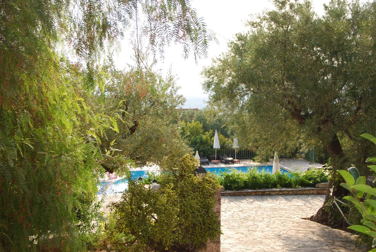 Anatoli Labreon 3*