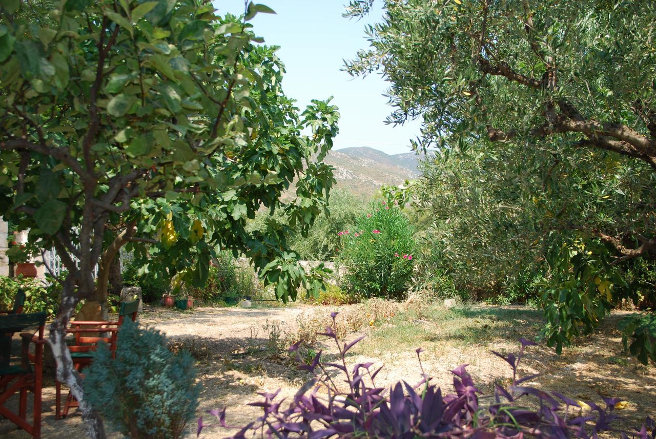 Anatoli Labreon Agia Marina (Zakynthos)
