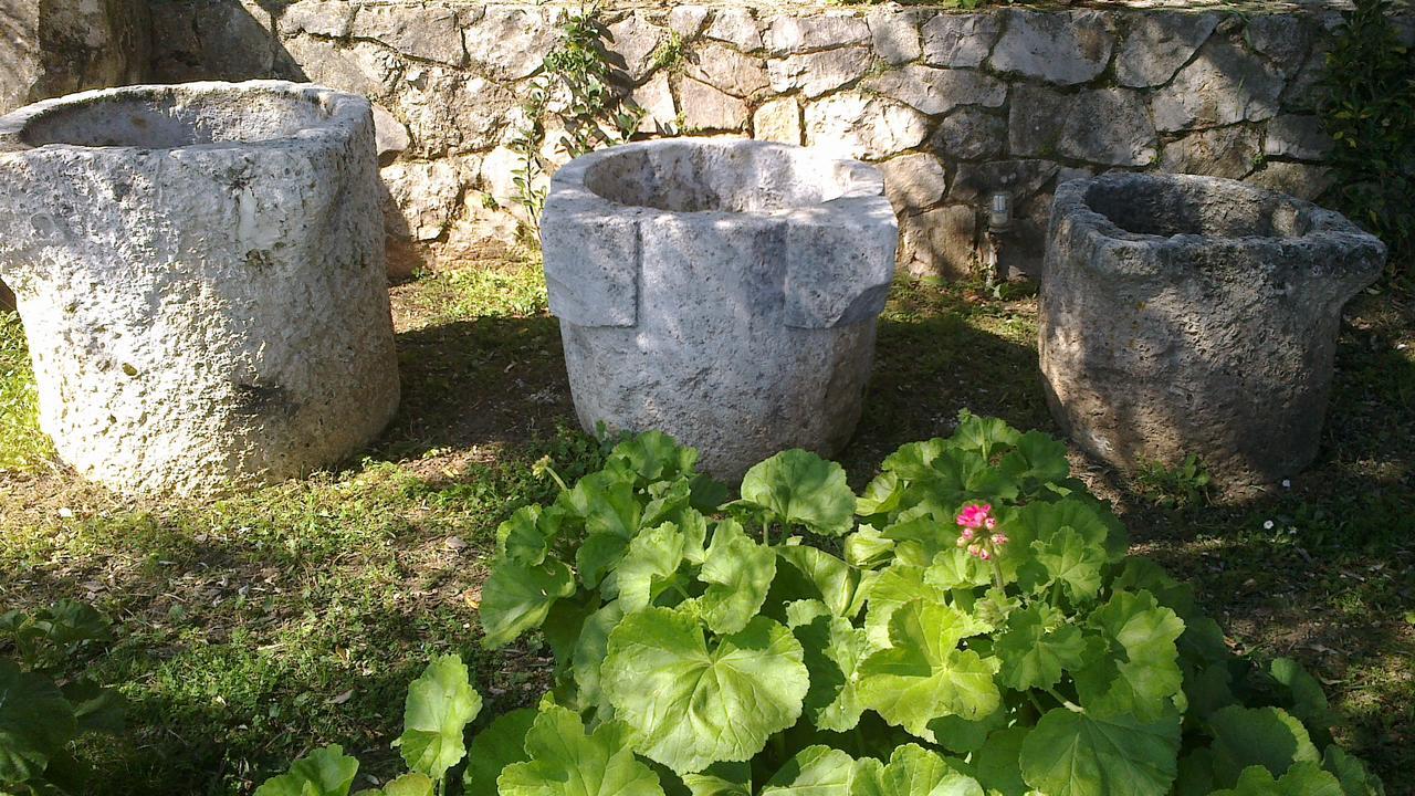 Anatoli Labreon 3* Agia Marina (Zakynthos)